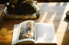 film・Warm Love*
