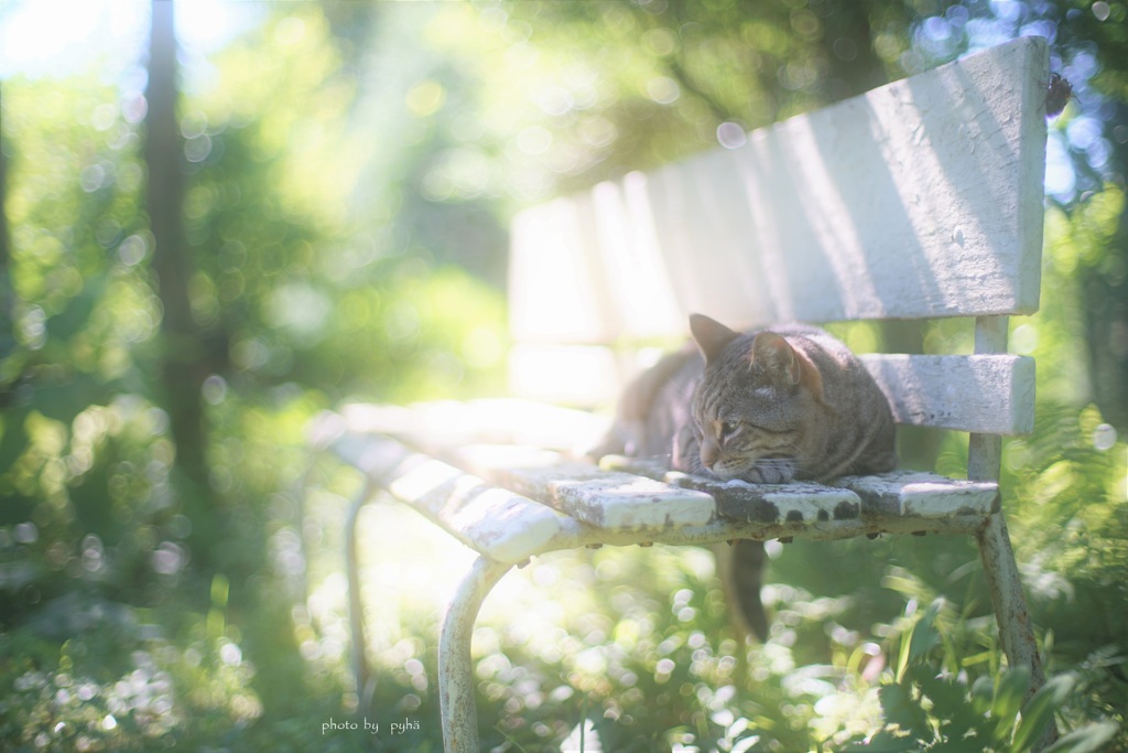 Summer is almost over*