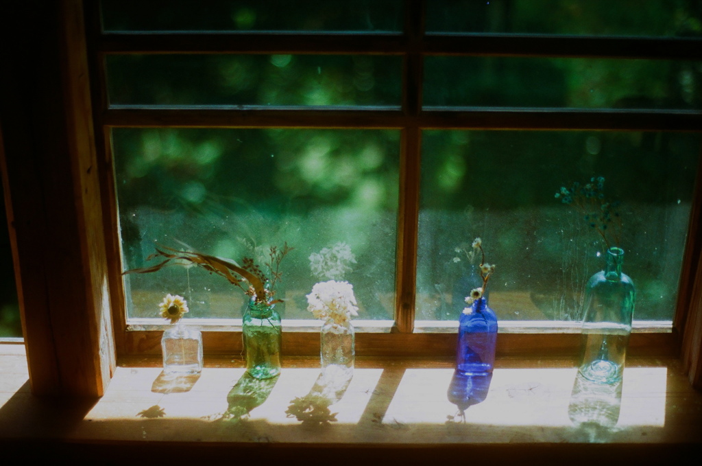 film・Dry Flowers*