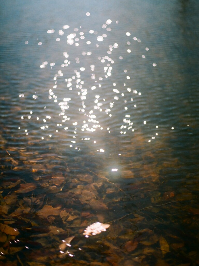 film・たゆたえども沈まず*