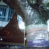 film・夏のハラマキ*