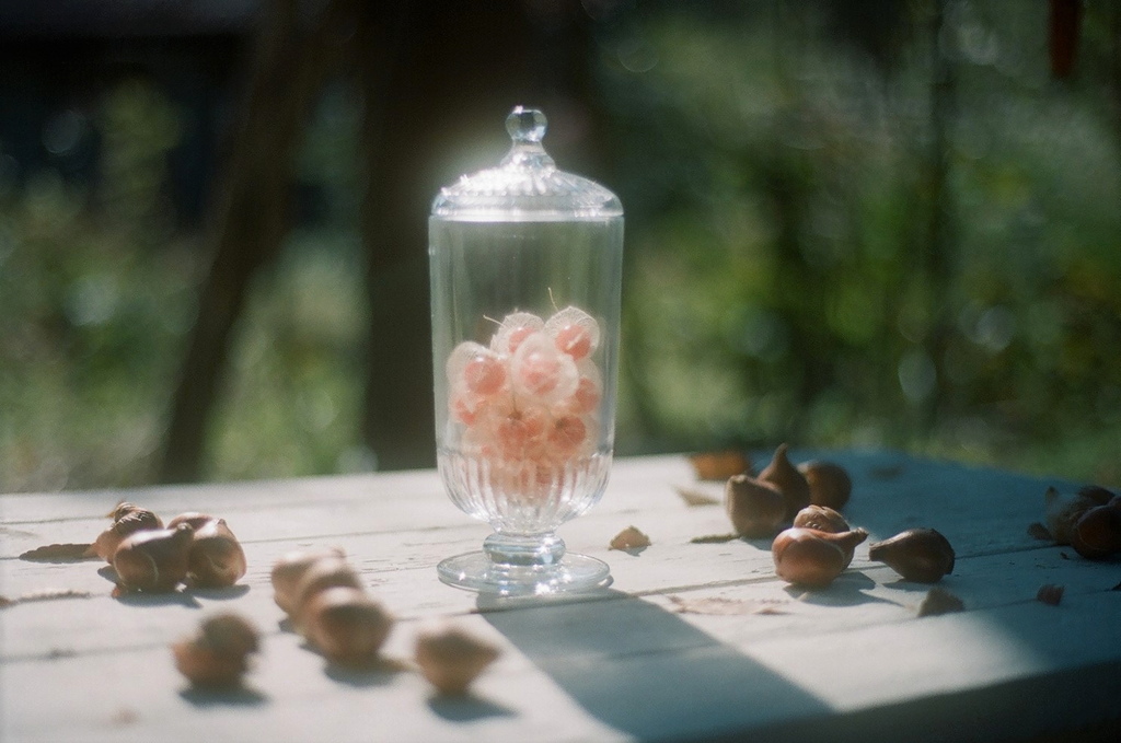 film・Tulip bulb*