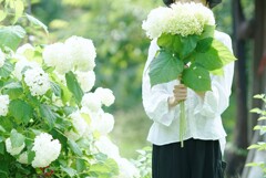 Pure White*