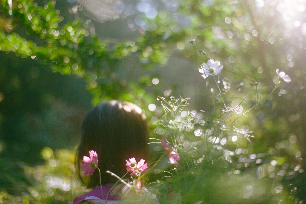 film・君がくれた秋*