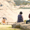 花咲く旅路❀.｡ﾟ*
