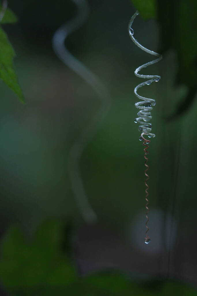 雨雫のリズム*