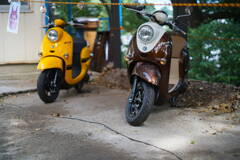 秋色Scooter*