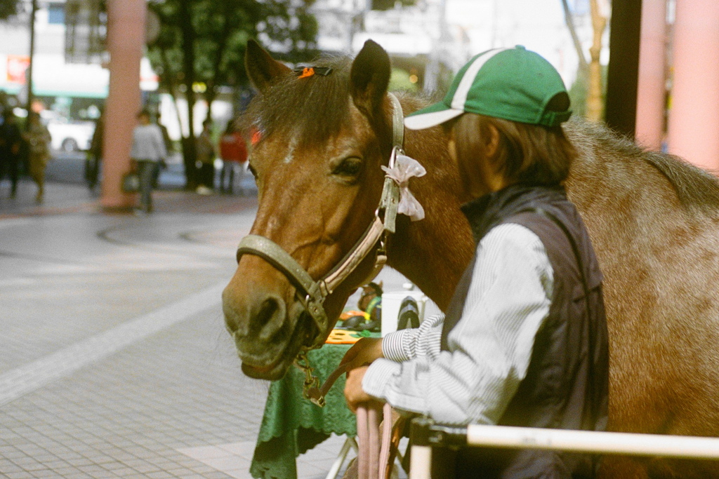 film・The Royal Family*