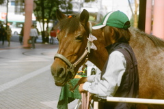 film・The Royal Family* film・The Royal Family*