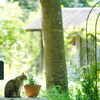 Garden Party*