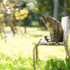 季節によせて*