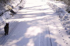 Thank you photography lovers!*