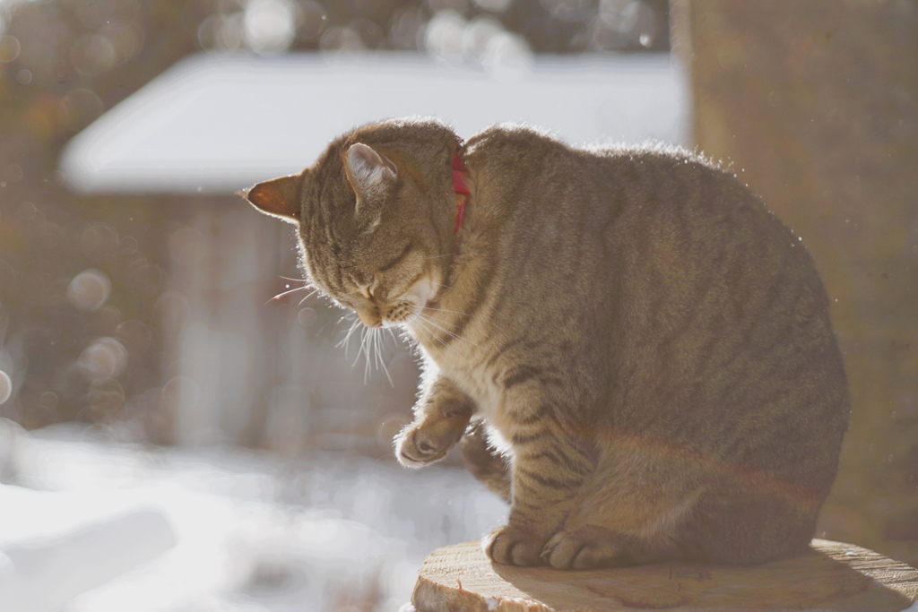 it's freezing*