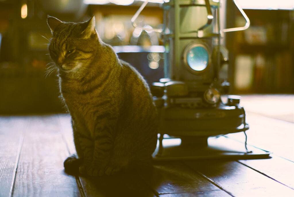 Aladdin Blue Flameスタート*