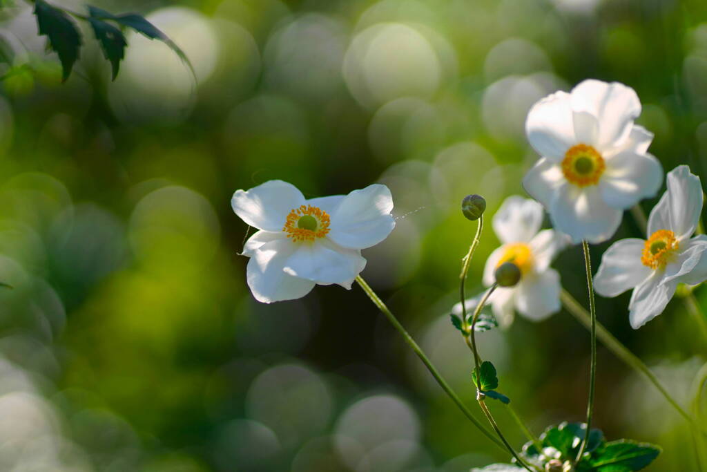 Autumn is in the air*