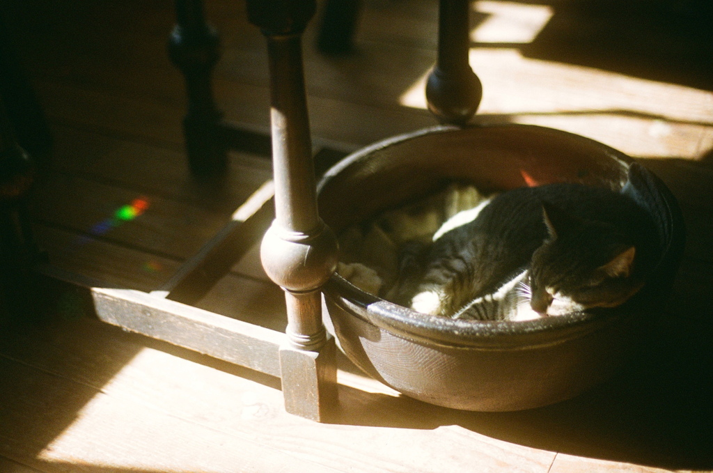 film・プリズム*