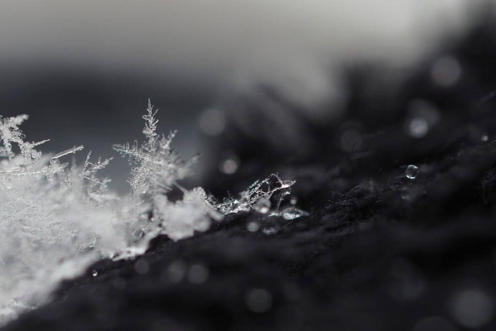 Snowflake✥*