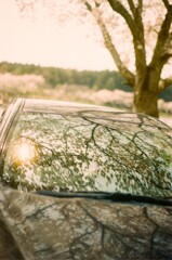 film・春泥棒 Spring Thief*