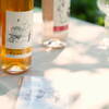 and Orange Wine*