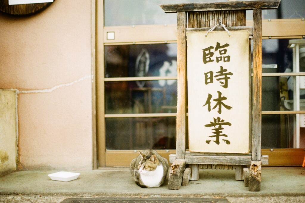 film・Temporarily Closed*