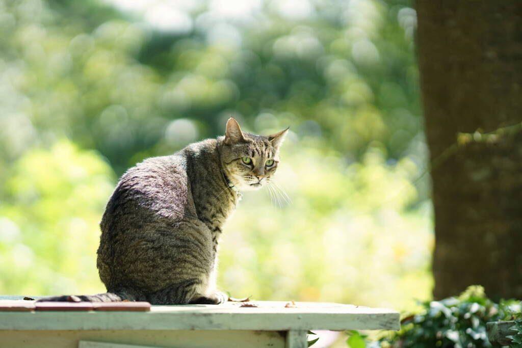 ようやく衣替えしました*