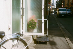 film・日々草かな* film・日々草かな*