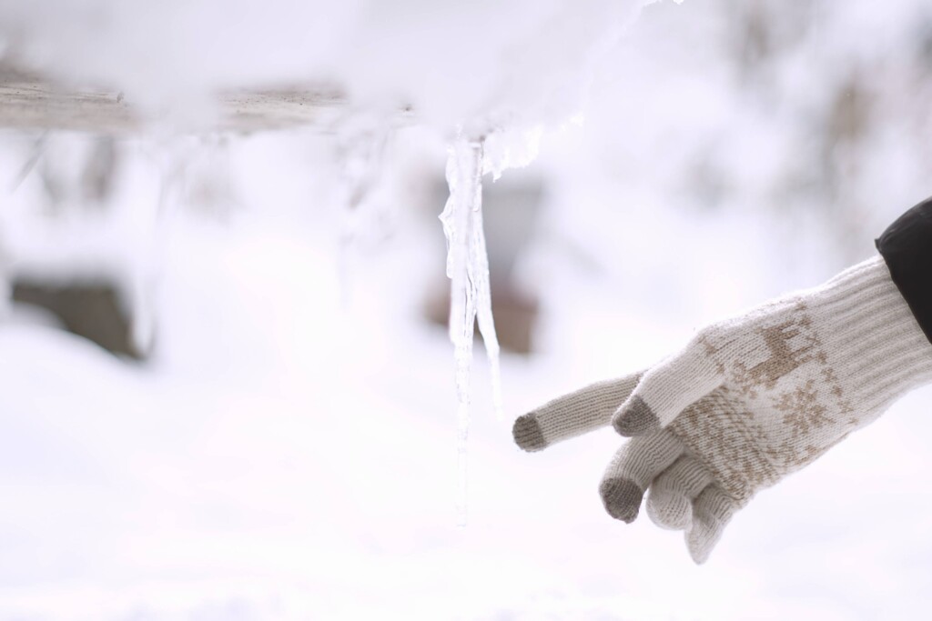 凍えそうな季節でも*