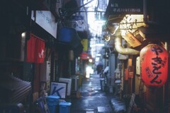 film・サヨナラの雨*