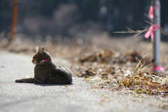 Spring is just around the corner*