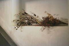 GinzaのDry* GinzaのDry*