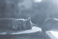 film・The peaceful atmosphere of autumn *