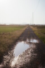 film・まだまだここからがいいところ*