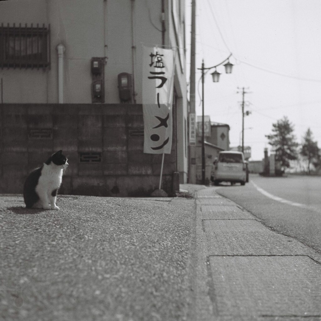 film・今日のランチは*