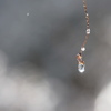 Suncatcher*