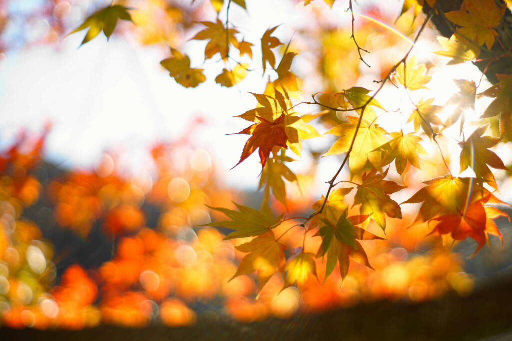 一日の終わりに*