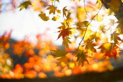 一日の終わりに* 