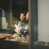 film・窓越しの*