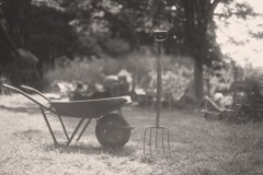 film・Gardening*