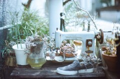 film・Your shoes*