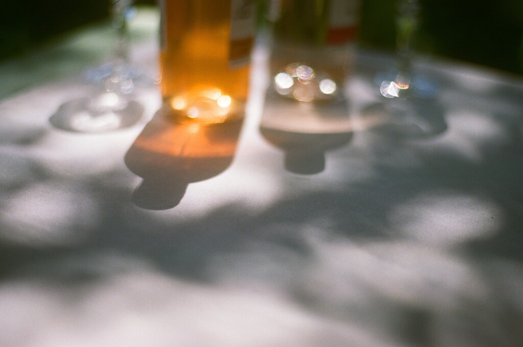 film・.｡ﾟ:*:.｡.｡*