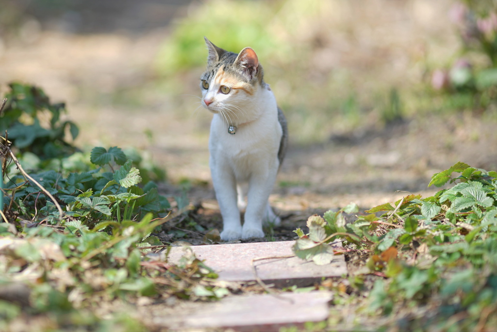 so full of curiosity*