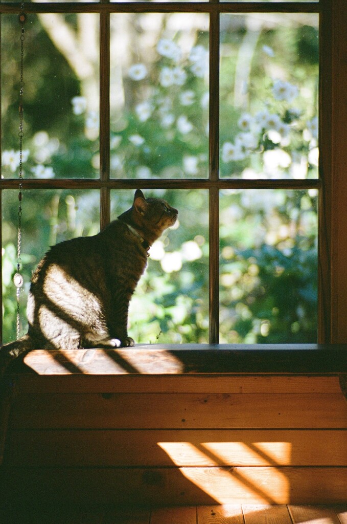 film・年を重ねて知ること*