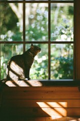 film・年を重ねて知ること*