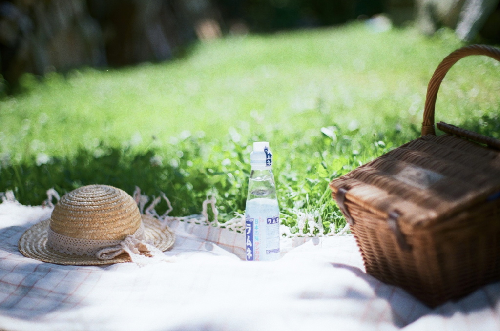 Summer Picnic*