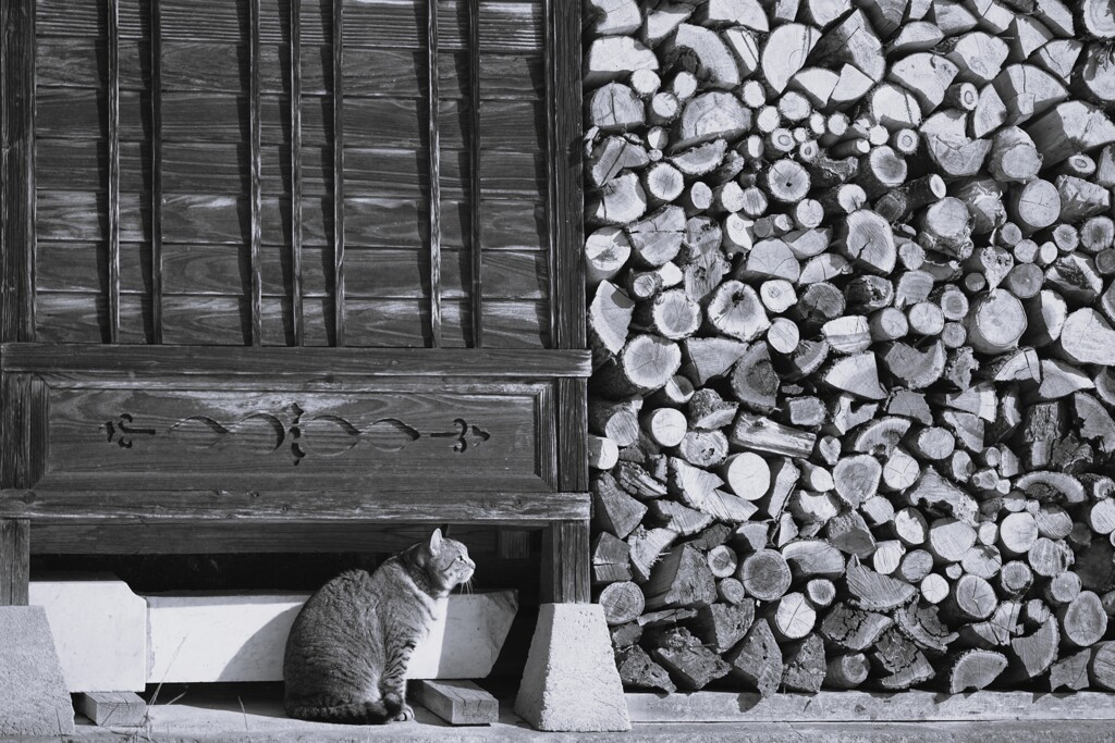 Firewood*