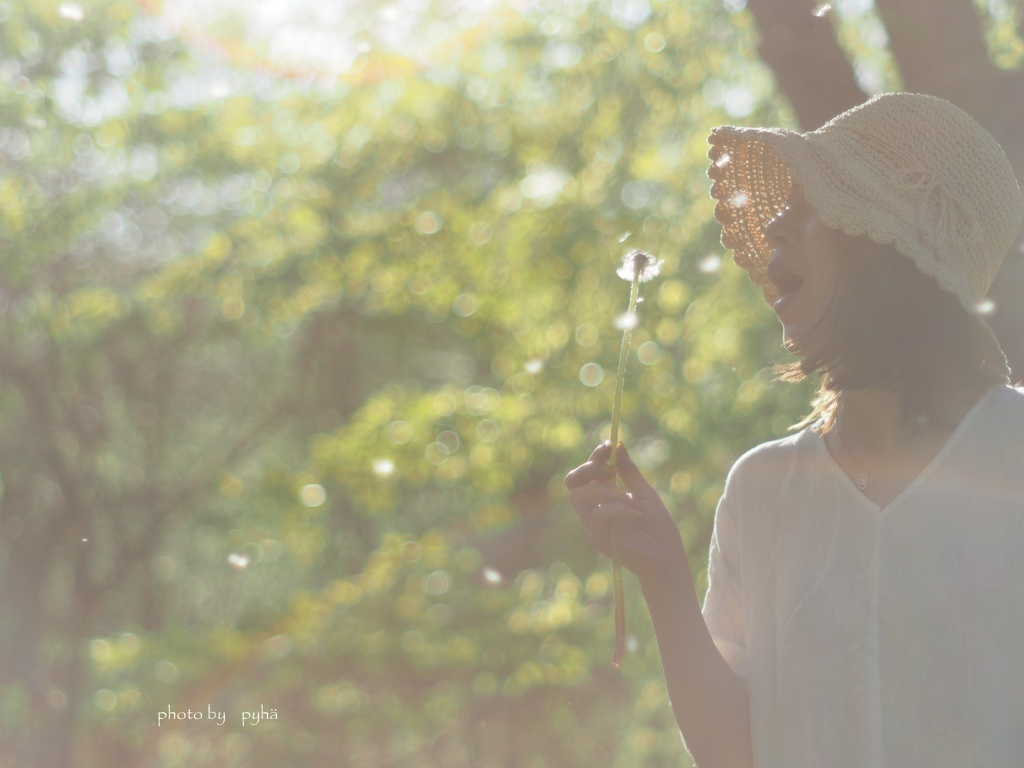 Dandelion*
