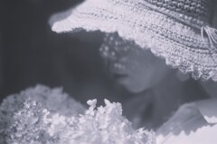 film・涙で育てたその花は*