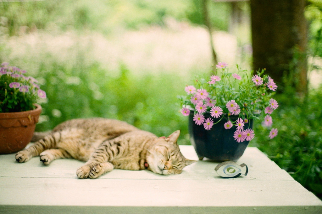 film・I need to recharge my batteries*