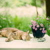 film・I need to recharge my batteries*