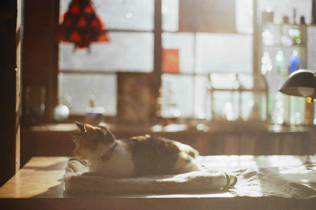 film・冬のおひさまよ*